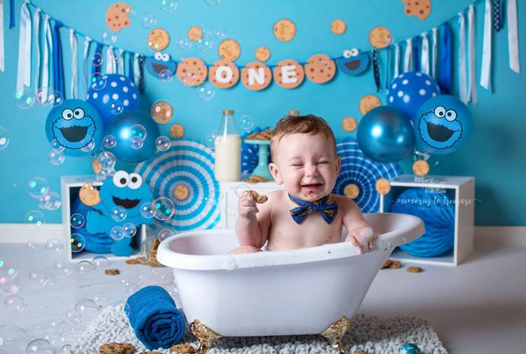 Avezano Cookie Monster Backdrop for Photography By Paula Easton-AVEZANO
